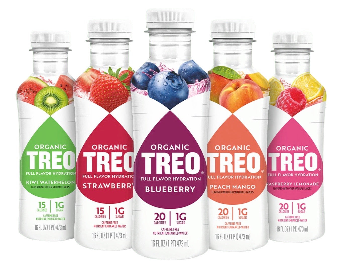 Treo Fruit & Birch Water Drink, Blueberry, Pack of 12