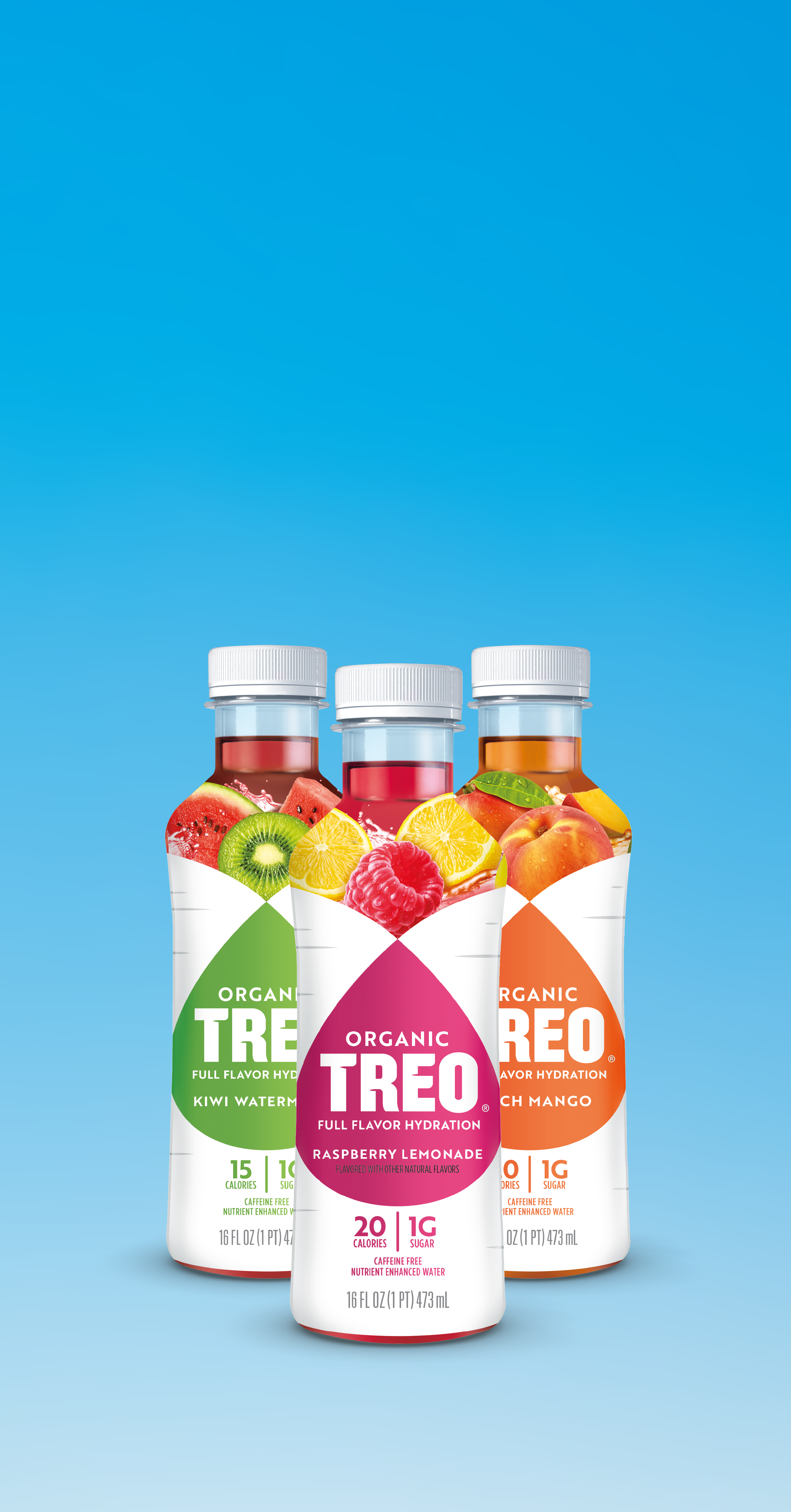 Treo Fruit & Birch Water Drink, Strawberry, USDA Organic, Non-GMO Project  Verified, Vegan, Gluten-Free, 10 Calories & 1g of Sugar Per Serving, 16 fl